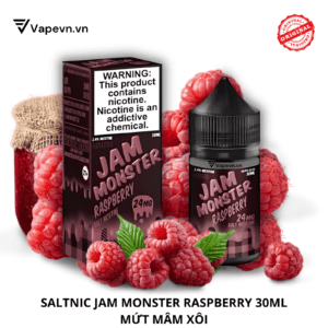 salt jam monster raspberry