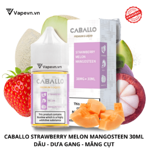 Tinh Dầu Pod Caballo Strawberry Melon Mangosteen Salt Juice 30ml – Vị Dâu Dưa Gang Măng Cụt